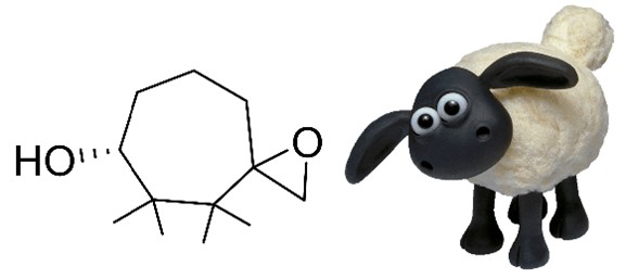 Molecular “Shaun the Ether” and cartoon character “Shaun the Sheep”